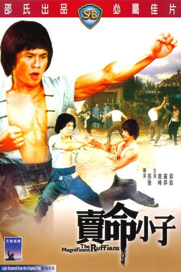 Locandina di 賣命小子