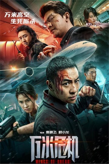 Locandina di 万米危机