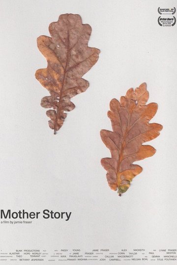Locandina di Mother Story