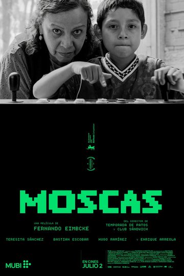 Locandina di Moscas