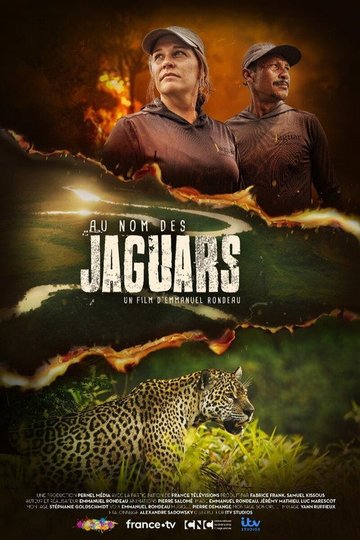 Locandina di Au nom des jaguars
