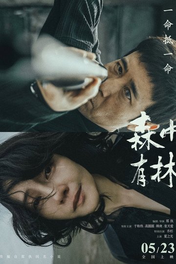 Locandina di 森中有林