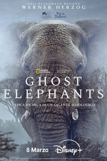 Locandina di Ghost Elephants