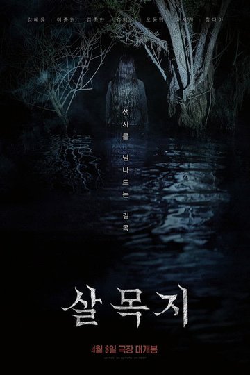 Locandina di 살목지