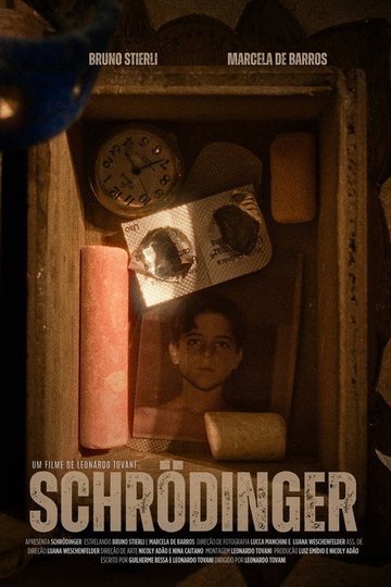 Locandina di Schrödinger