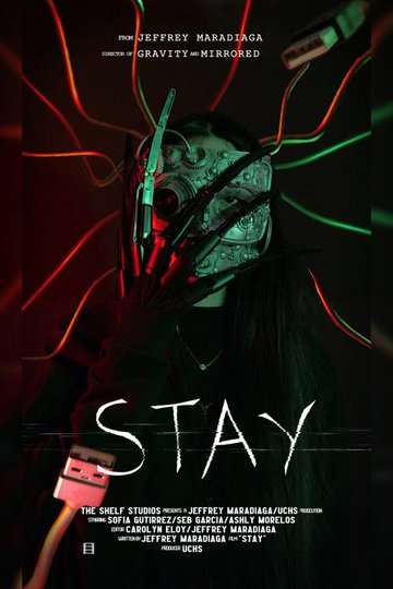 Locandina di STAY
