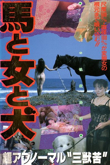 Locandina di Horse, Woman, Dog