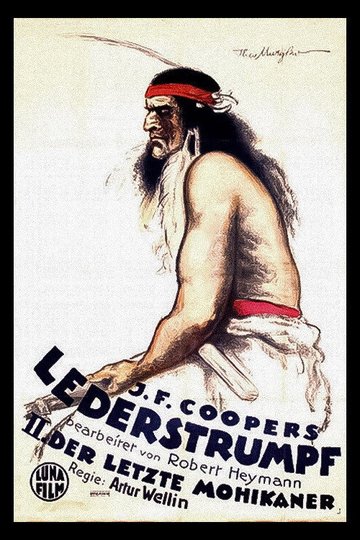 Locandina di Lederstrumpf