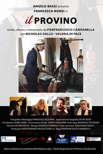 Locandina di Il provino