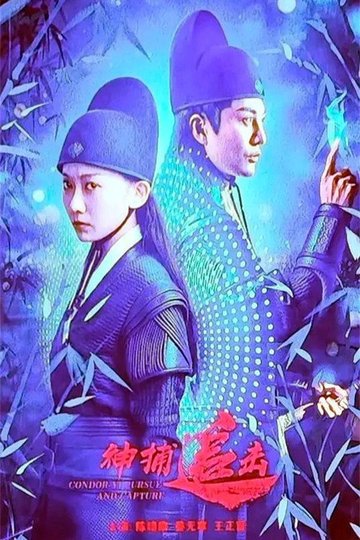 Locandina di 神捕追击