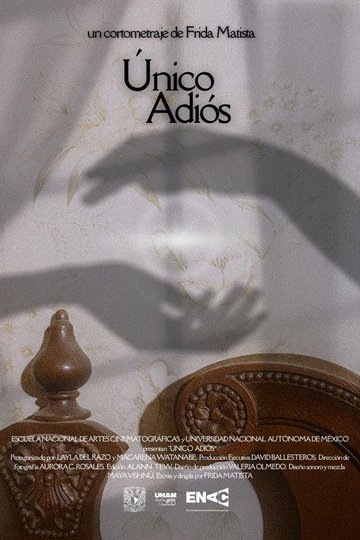 Locandina di Único Adiós