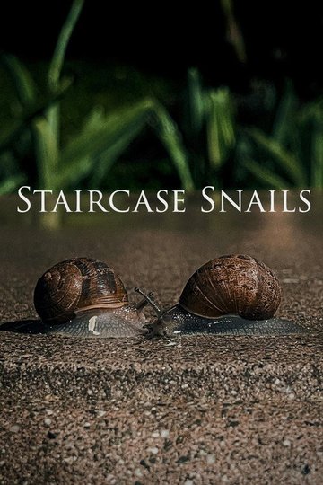 Locandina di Staircase Snails