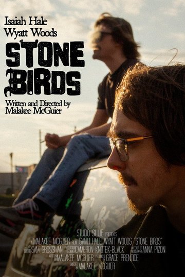 Locandina di Stone Birds
