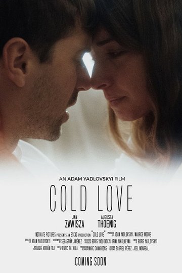 Locandina di Cold Love
