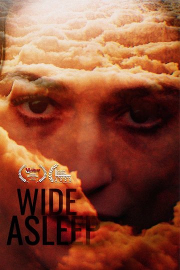 Locandina di Wide Asleep