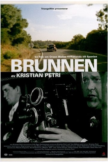 Locandina di Brunnen