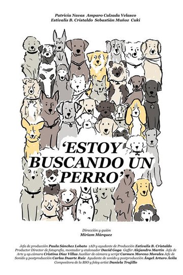Locandina di Estoy buscando un perro