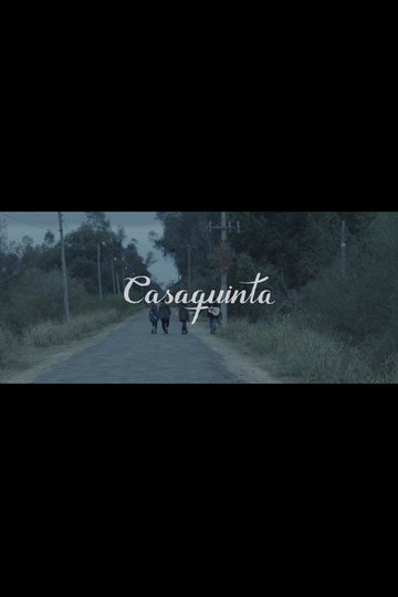 Locandina di Casaquinta