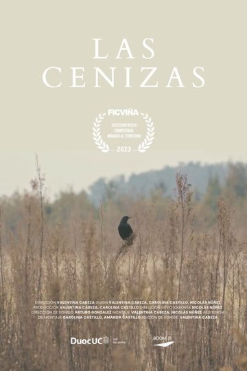 Locandina di Las Cenizas