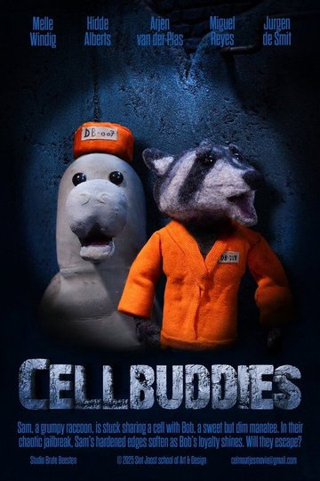 Locandina di Celmaatjes
