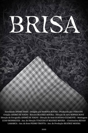 Locandina di Brisa