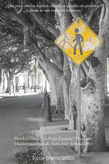 Locandina di Ecos transeuntes