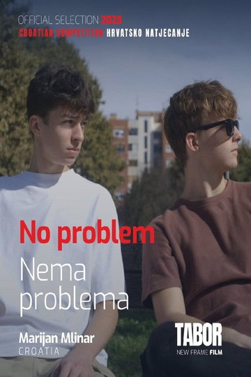 Locandina di Nema problema