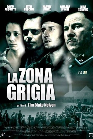 Locandina di La zona grigia