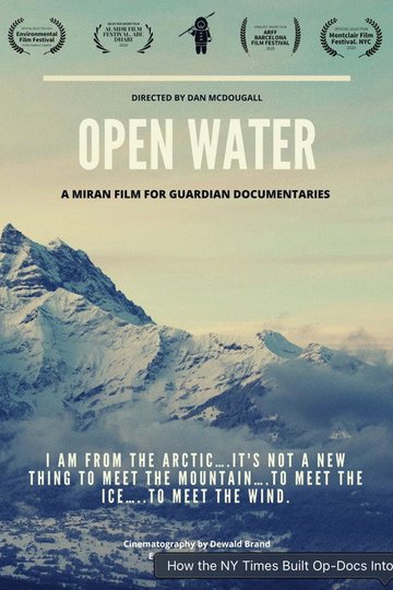 Locandina di Open Water