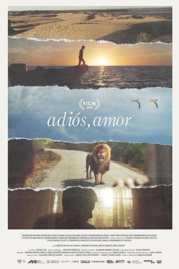 Locandina di Adiós, amor