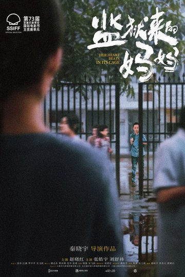 Locandina di 监狱来的妈妈