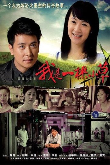 Locandina di 我是一棵小草
