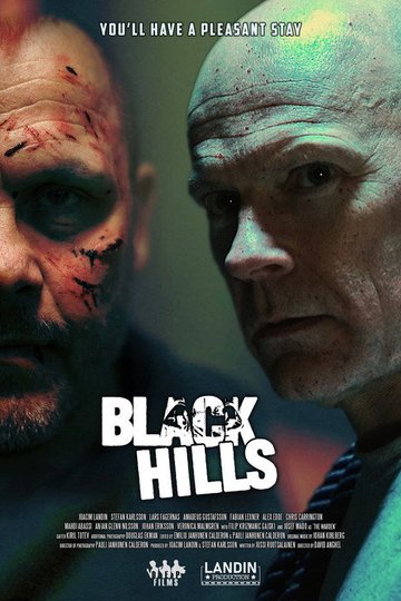 Locandina di Black Hills