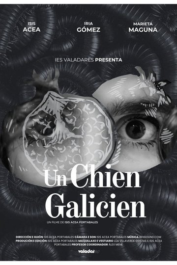 Locandina di Un chien galicien