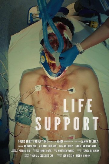 Locandina di Life Support