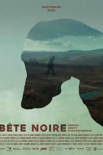 Locandina di Bête Noire
