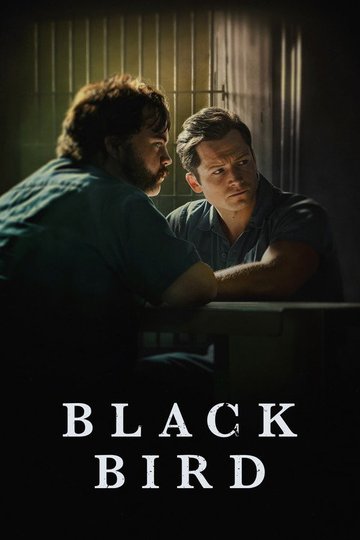 Locandina di Black Bird
