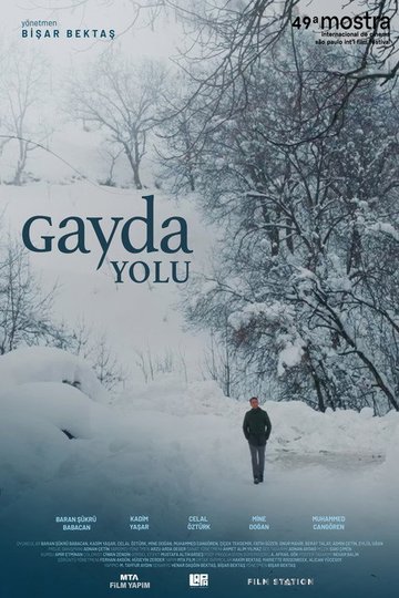 Locandina di Gayda Yolu
