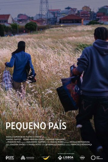 Locandina di Pequeno País