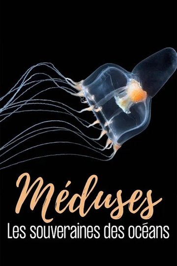 Locandina di Méduses les souveraines des océans