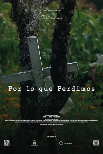 Locandina di Por lo que Perdimos