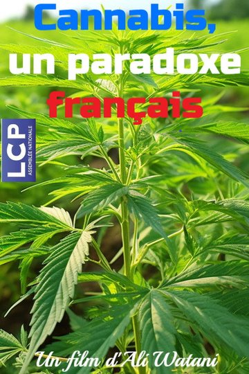 Locandina di Cannabis, un paradoxe français