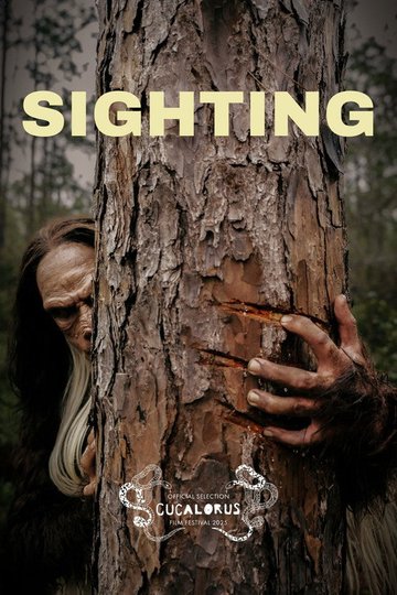 Locandina di Sighting