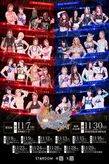 Locandina di 第15回 ゴッデス・オブ・スターダム ～タッグリーグ戦～ in KORIYAMA