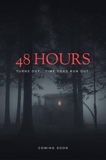 Locandina di 48 Hours