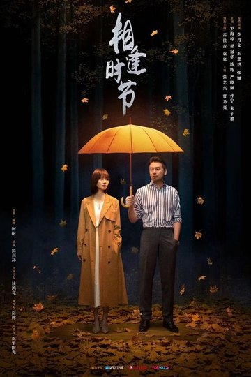 Locandina di 相逢时节