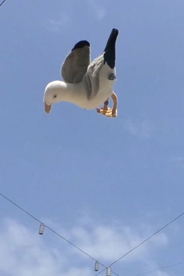 Locandina di Double Jump