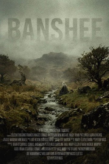 Locandina di Banshee