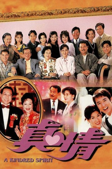 Locandina di 真情