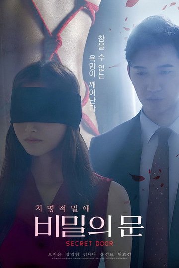 Locandina di 비밀의 문
